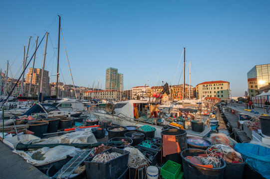Savona