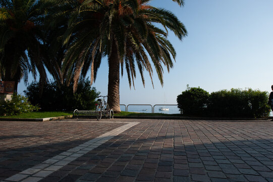 Celle Ligure