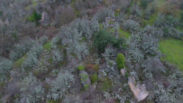 Aerial view from drone of the church of San Esteban in the abandoned village of Ribera in the Valderejo Natural Park. Municipality of Valdegov&iacute;a. Province of &Aacute;lava. Basque Country. Spain. Europe