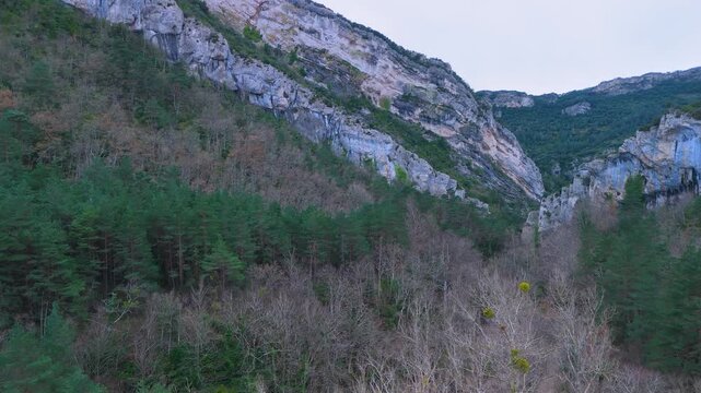 Aerial view from drone of the Ca&ntilde;&oacute;n del R&iacute;o Pur&oacute;n in the Valderejo Natural Park. Municipality of Valdegov&iacute;a. Province of &Aacute;lava. Basque Country. Spain. Europe