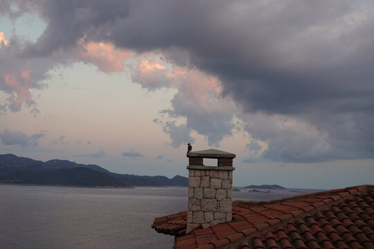 Bird on a chimney at sunset