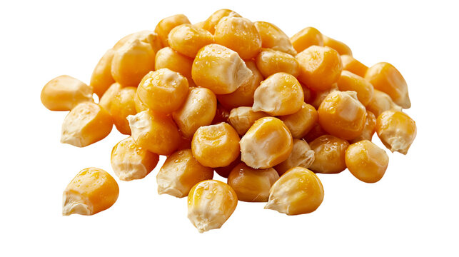 Heap of fresh raw yellow sweet corn kernels with moisture droplets