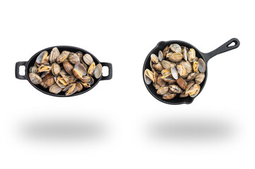 Two black dishes filled with open clams floating above soft shadows in a seafood comparison collage on white © Mironov