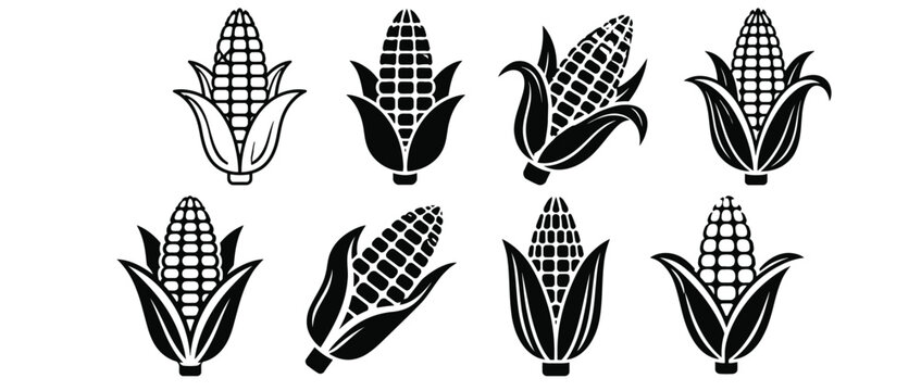 Set of corn cob icons in solid black and outline styles for agriculture and farming design with agriculture vegetable graphics monochrome isolated nutrition ingredients