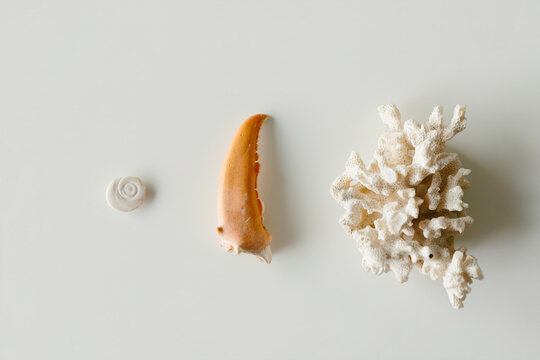 mix of stones and sea shells