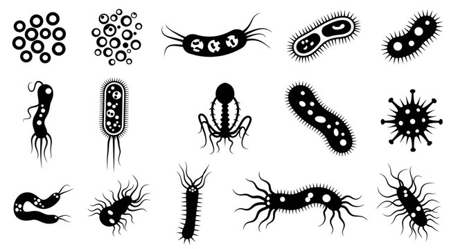 Set of black silhouette bacteria and virus icons isolated on a