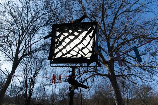 Led lamp in forrest