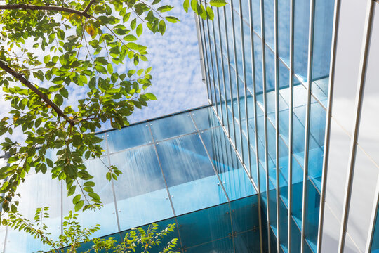 Modern Glass Building Exterior Reflecting Blue Sky with Green Trees