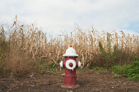 Fire hydrant late fall