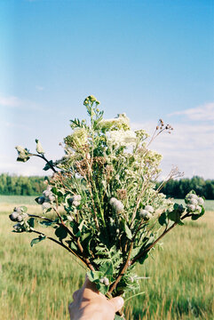 Hand Holding a Wild Meadow Bouquet Against a Blue Summer Sky