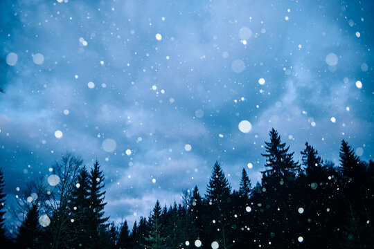 Direct flash snow flakes winter