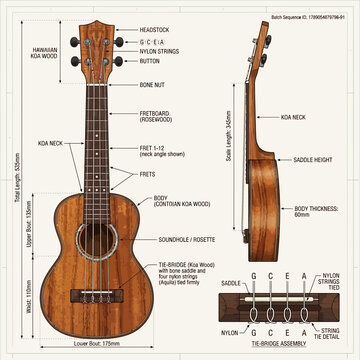 Ukulele Diagram Detailed Anatomy and Dimensions of a Hawaiian Koa Wood Instrument Isolated