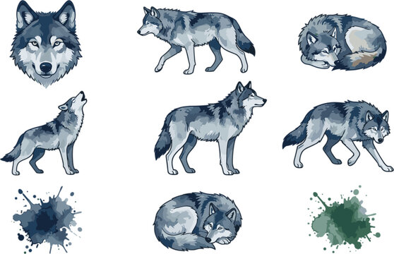 Aggressive Timberwolf Mascot Branding Icons and Rugged Outdoor Apparel Graphics Featuring Howling Grey Wolf Poses Wilderness Hunting Club Logos and Vector Ink Splatter Art