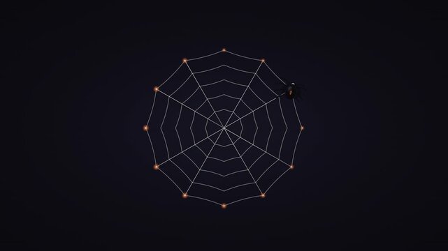 Black spider gradually constructs a circular web strand by strand, forming a clock-like Halloween composition before reversing the process in a seamless loop.