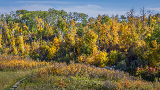 Autumn Colours at Beaver Creek Nature Conservation Area, Saskatoon, Saskatchewan, Canada