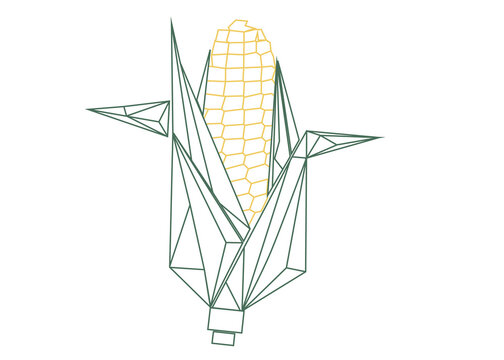 Corn cob with green husk isolated on transparent background in geometric line art style