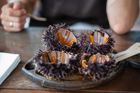 Four freshly opened sea urchins displaying their edible orange gonads are served on a wooden platter