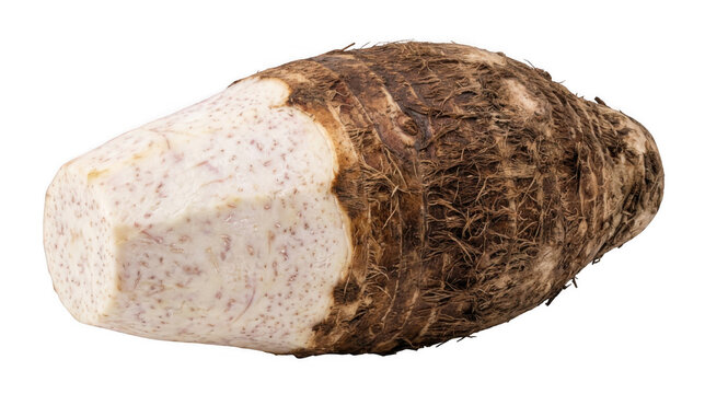 A large taro root with brown skin and white flesh on transparent background