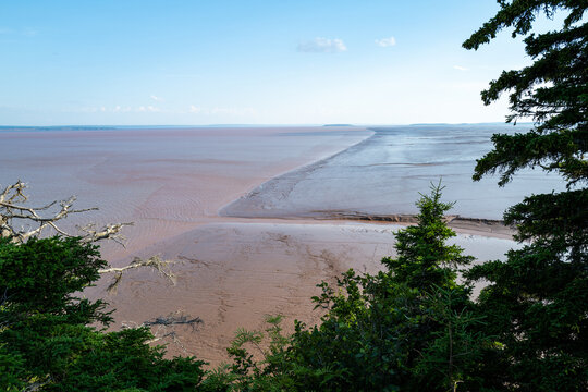 Tidal boundary and sediment transport along the exposed mudflats of Shepody Bay at low tide, Hopewell Rocks Provincial Park, Hopewell Cape, New Brunswick, Canada, July 2026.