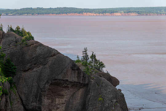 Elevated forest viewpoint overlooking the muddy waters of Shepody Bay and the Bay of Fundy from the upper trail at Hopewell Rocks Provincial Park, Hopewell Cape, New Brunswick, Canada in July