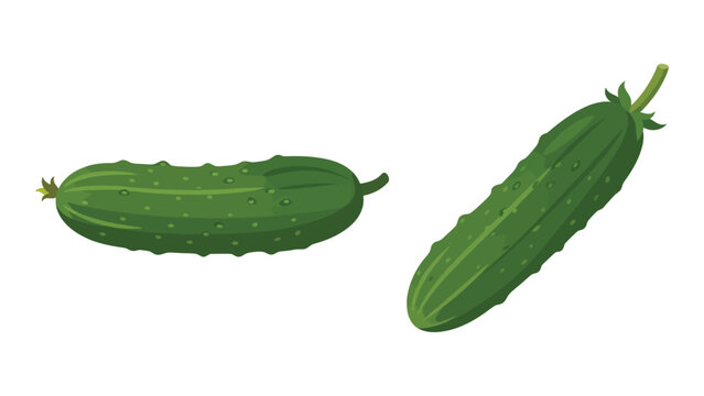 Cartoon Cucumber, Two Green Vegetables with Bumps