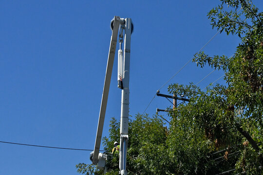 Trimming tree branches near power lines before winter storms is a preemptive measure to prevent electrical outages 