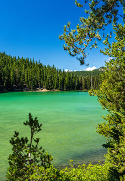 Devils Lake in Oregon displays vibrant emerald green water bordered by a dense evergreen forest under a clear blue sky.