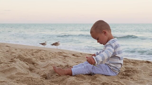 Little boy sitting on sandy beach playing with sea grass while seagulls stand near ocean shore in background
