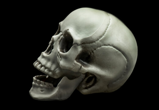Halloween human skull close up isolated on black background. Scull detailed photo. Spooky skeleton, Witchcraft, Halloween decor