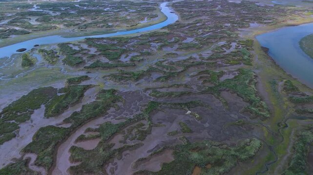Aerial drone view of the marshes at low tide in Escalante in the Marismas de Santo&ntilde;a, Victoria y Joyel Natural Park. Cantabrian Sea. Santo&ntilde;a, Cantabria, Spain, Europe