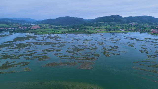 Aerial drone view of the marshes in Escalante in the Marismas de Santo&ntilde;a, Victoria y Joyel Natural Park. Cantabrian Sea. Santo&ntilde;a, Cantabria, Spain, Europe
