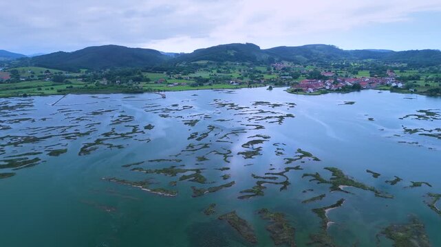 Aerial drone view of the marshes in Escalante in the Marismas de Santo&ntilde;a, Victoria y Joyel Natural Park. Cantabrian Sea. Santo&ntilde;a, Cantabria, Spain, Europe