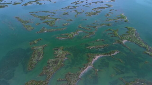 Aerial drone view of the marshes in Escalante in the Marismas de Santo&ntilde;a, Victoria y Joyel Natural Park. Cantabrian Sea. Santo&ntilde;a, Cantabria, Spain, Europe
