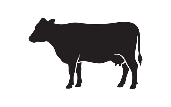 Black silhouette of a standing cow isolated on a simple plain white background design