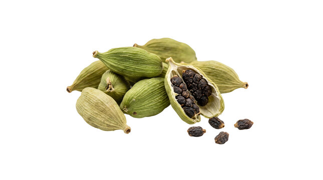 Green cardamom pods isolated on transparent background