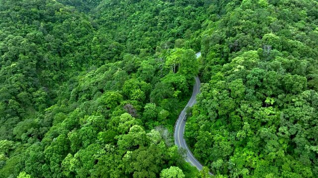 Forest landscape with transportation infrastructure balancing economic growth and environmental conservation, supporting Green Finance, Net Zero, Carbon Neutrality, Climate Risk Assessment