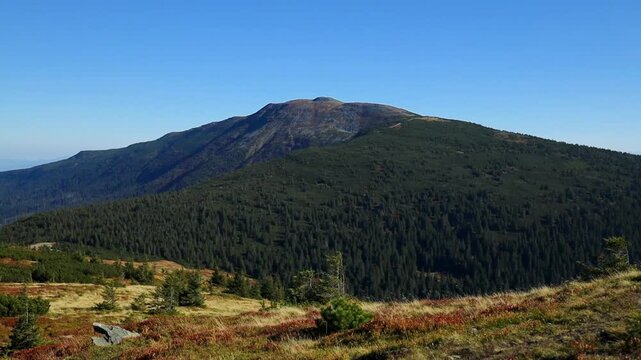 Scenic wide shot of the Babia Gora mountain range covered with lush coniferous forest and alpine meadows on a bright sunny day.