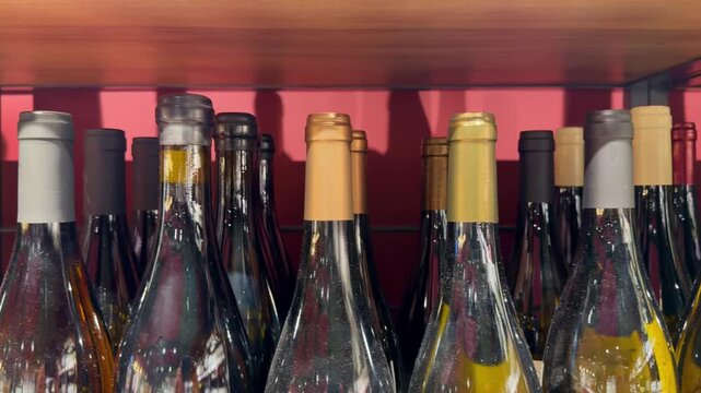 Assorted Alcohol Bottles on Display in Wine Section &ndash; Variety of Wine, Spirits and Liquor on Store Shelves