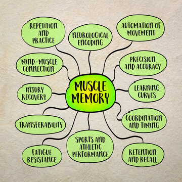 Muscle memory, the ability to perform a specific motor task automatically after it has been learned through repetition, mind map infographics sketch.