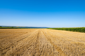 Naklejka premium Background landscape of farm field harvested wheat