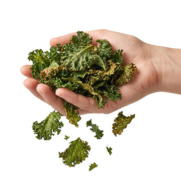 A hand holding healthy baked green kale chips snacks transparent background