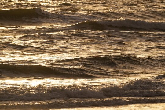 Surf, breaking waves with spray against light, Sorteb&aelig;rdalen Strand, Houvig, North Sea, Denmark