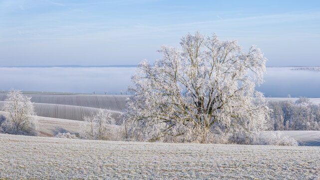 View of the Unstrut valley in winter, fields, trees and forests covered with hoarfrost, fog in the valley, Memleben, Saxony-Anhalt, Germany