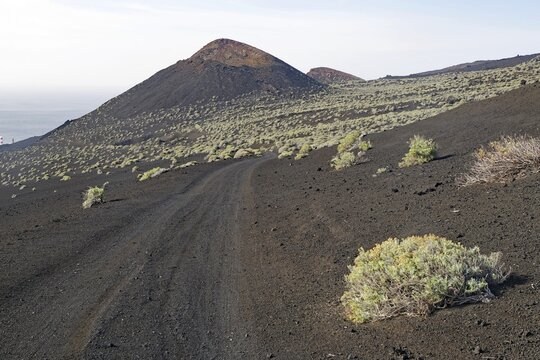 Dry, volcanic landscape with black soil and a lonely path surrounded by sparse plants, San Antonio, Fuencialente, La Palma, Canary Islands, Spain