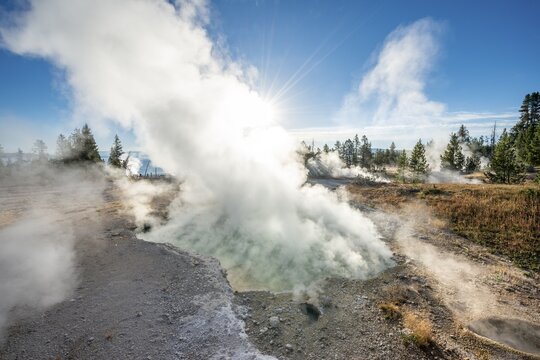 Steaming hot springs, morning sun, West Thumb Geyser Basin, Yellowstone National Park, Wyoming, USA