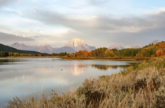 Mount Moran reflected in Snake River, morning mood at Oxbow Bend, autumn trees and Grand Teton Range, Grand Teton National Park, Wyoming, USA
