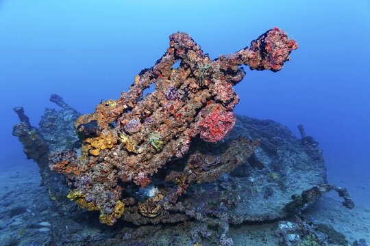 Wreckage and dinghy thickly encrusted with various sponges, tugboat, wreck, shipwreck, Virgen de Altagracia, Caribbean Sea near Playa St. Lucia, Camag&uuml;ey Province, Caribbean, Cuba