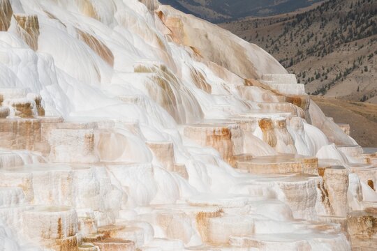 Sinter terraces with calcareous tuff deposits, hot springs, colorful mineral deposits, Palette Springs, Lower Terraces, Mammoth Hot Springs, Yellowstone National Park, Wyoming, USA