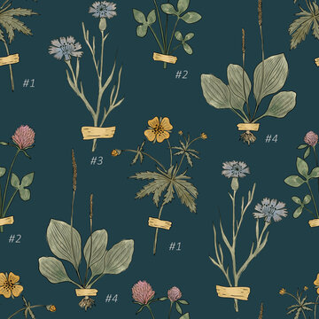 Numbered Vintage Herbarium Seamless Pattern on Dark Teal. Antique botanical illustration with taped flowers, leafy specimens and labels. Background for wallpaper, textiles and wrapping paper.