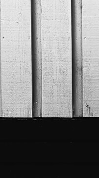 Vertical painted wood plank texture